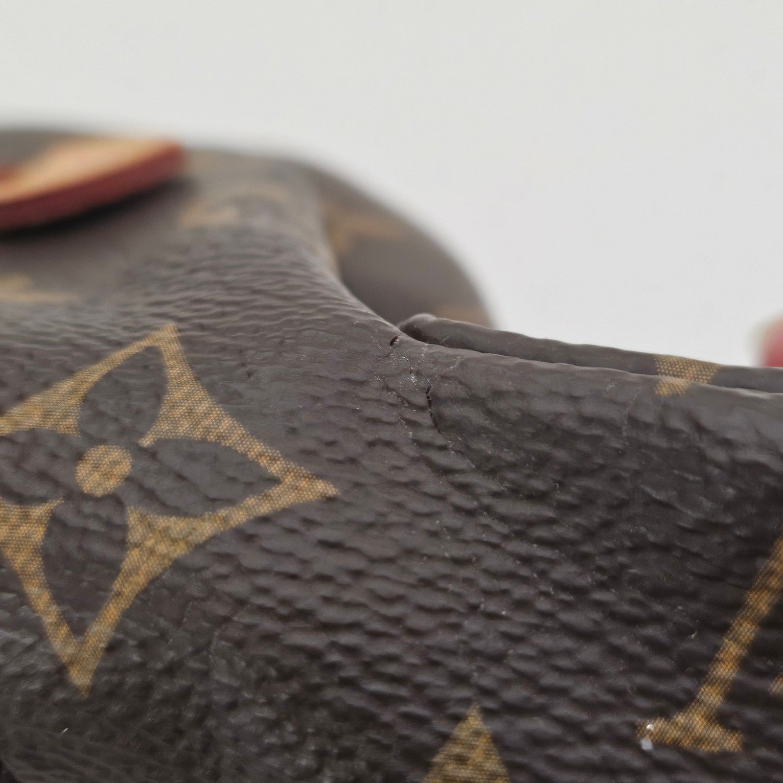 Louis Vuitton Monogram Bumbag