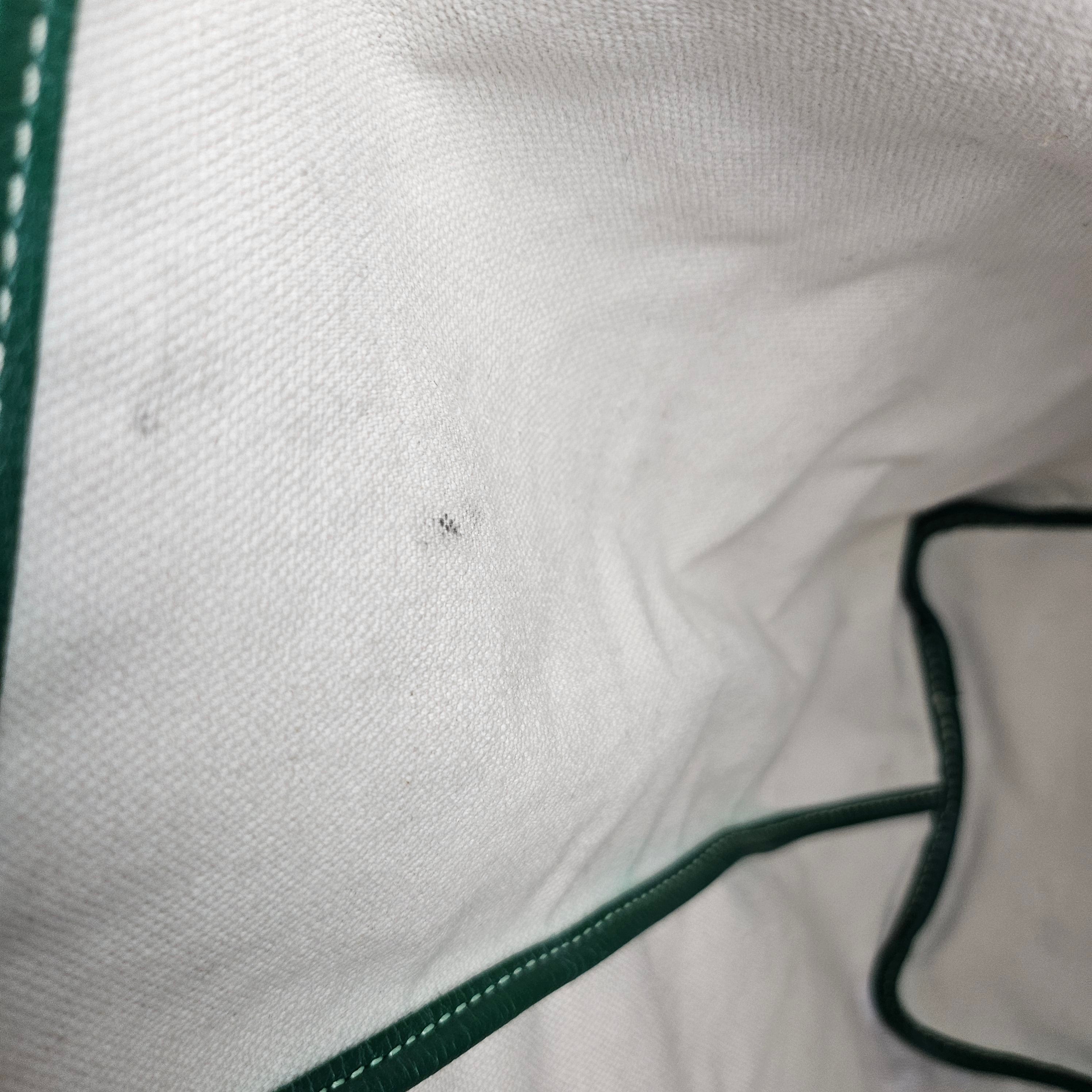 Goyard Goyardine Saint Louis PM Tote Green