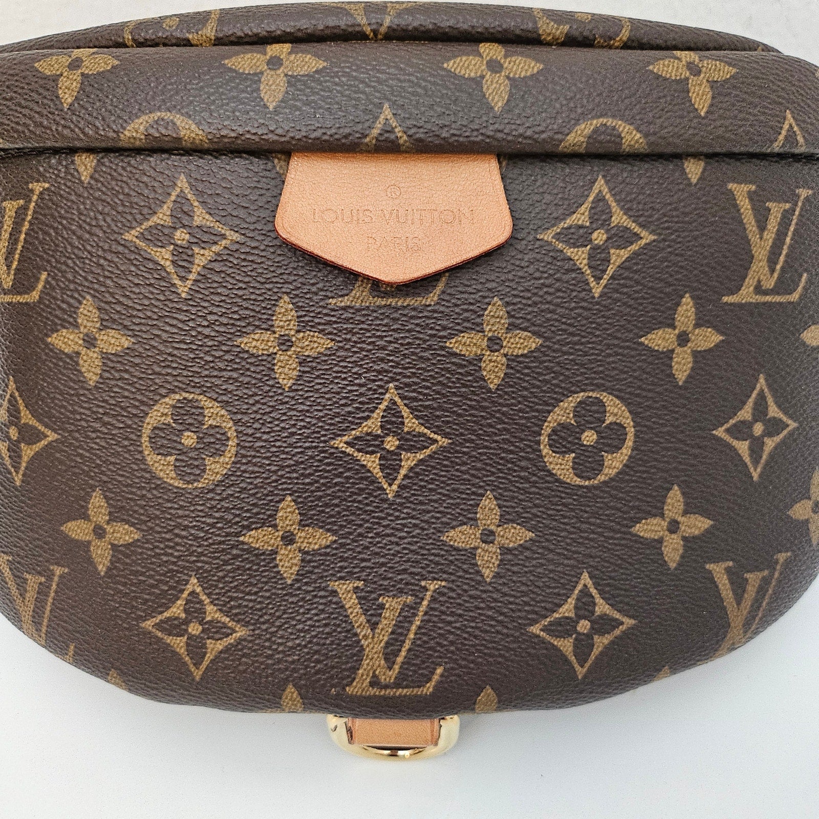 Louis Vuitton Monogram Bumbag