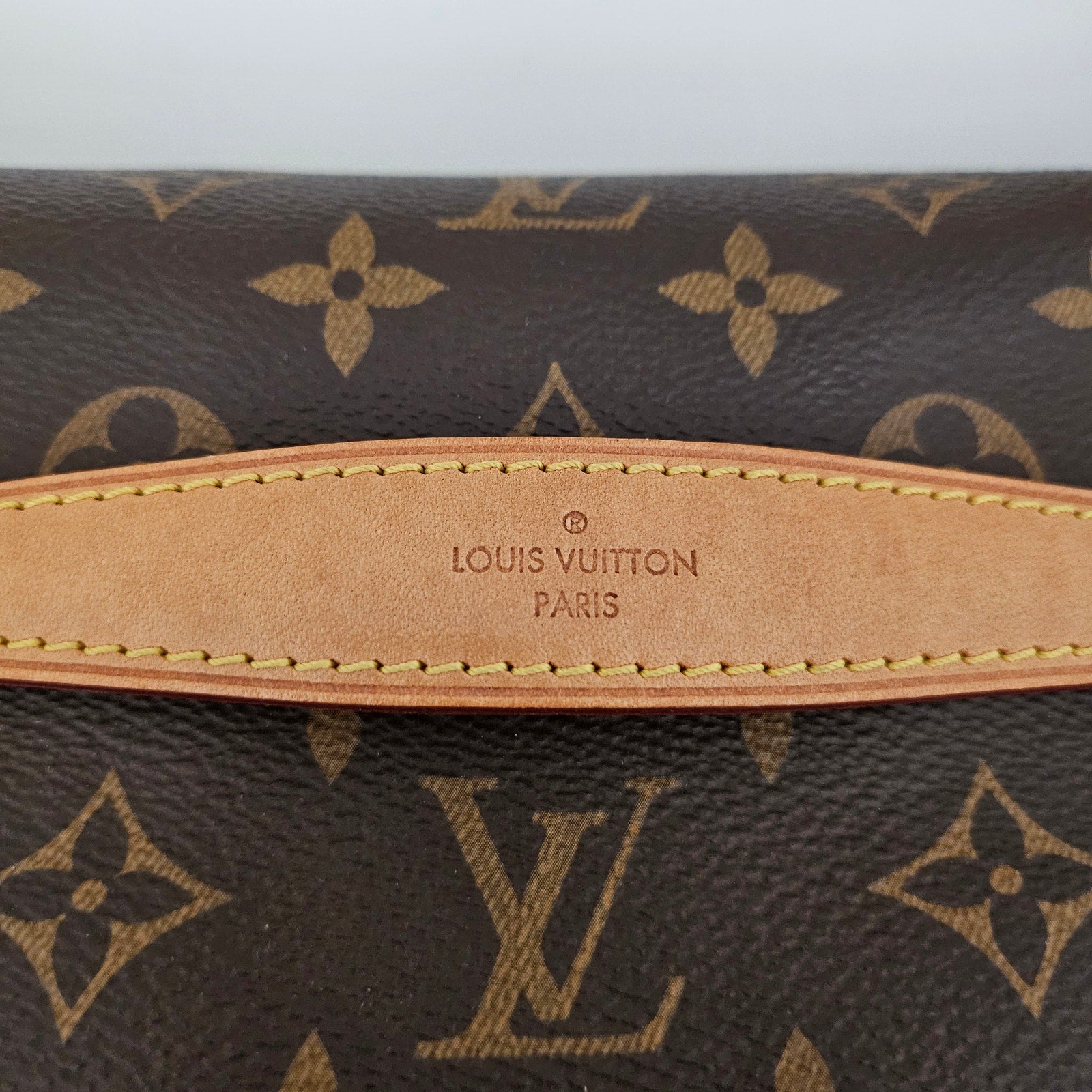 Louis Vuitton Monogram Bumbag