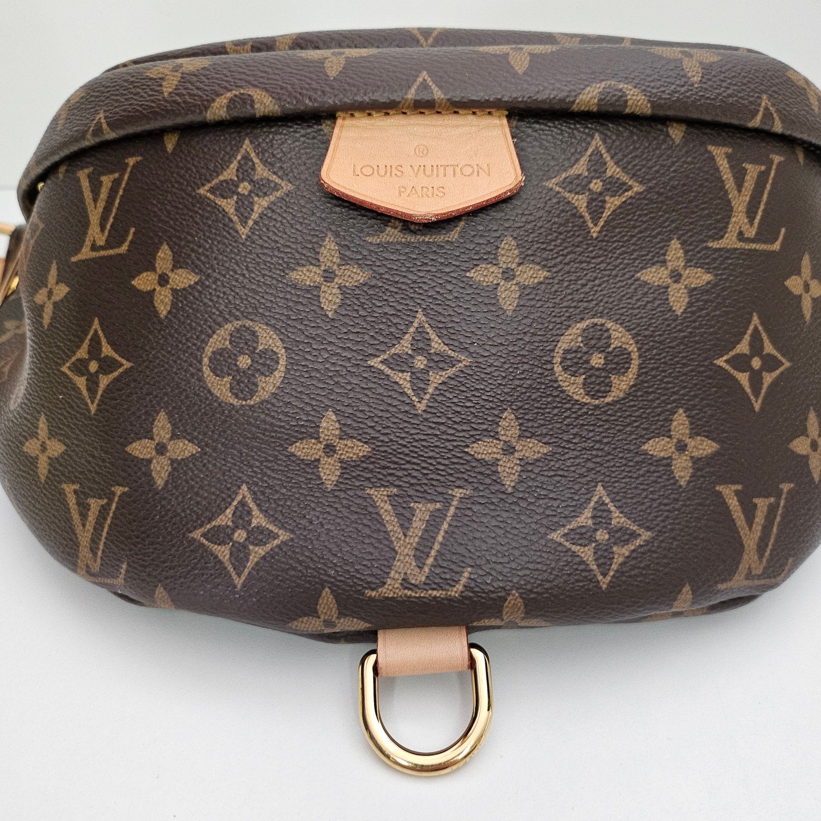 Louis Vuitton Monogram Bumbag