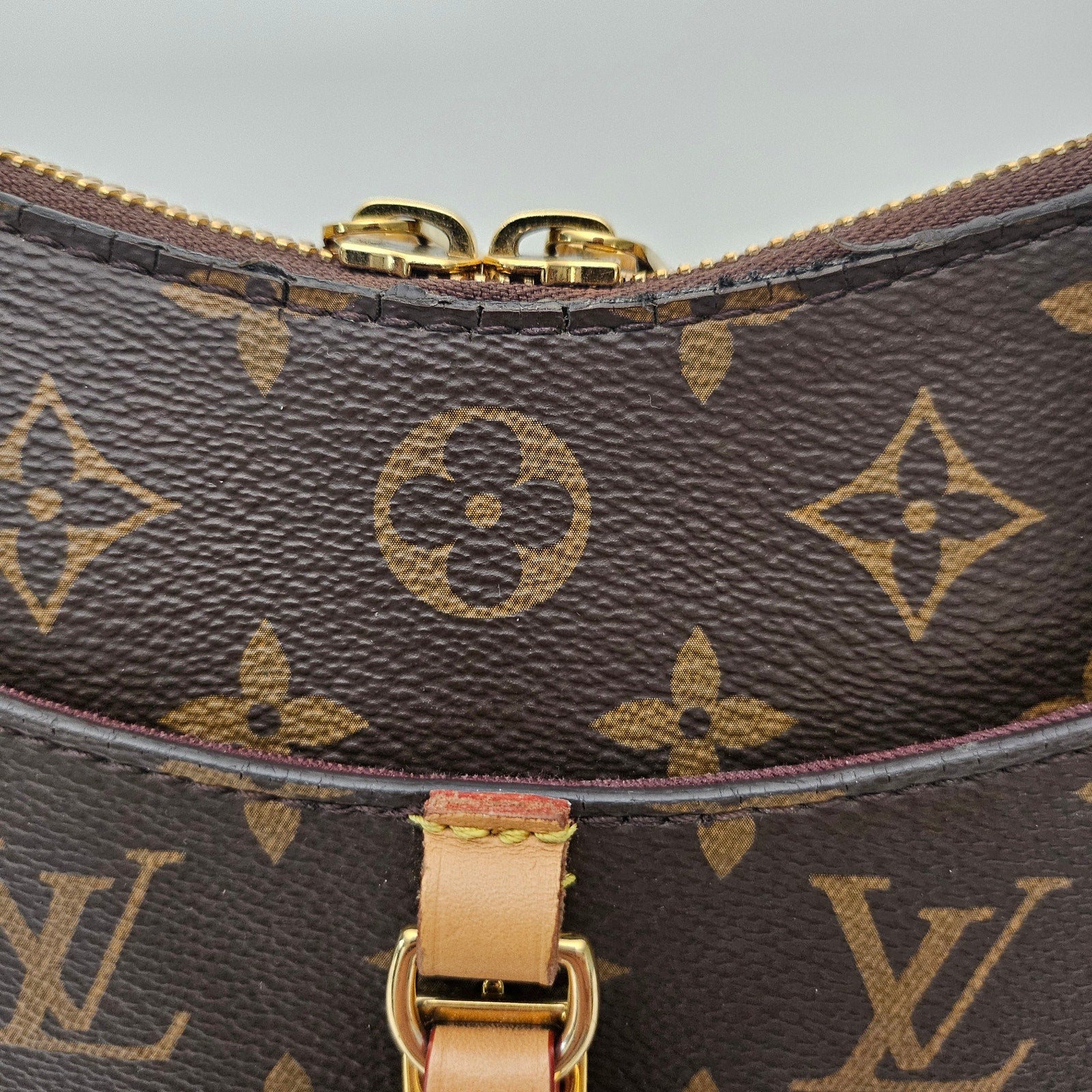 Louis Vuitton Monogram Odeon MM Natural