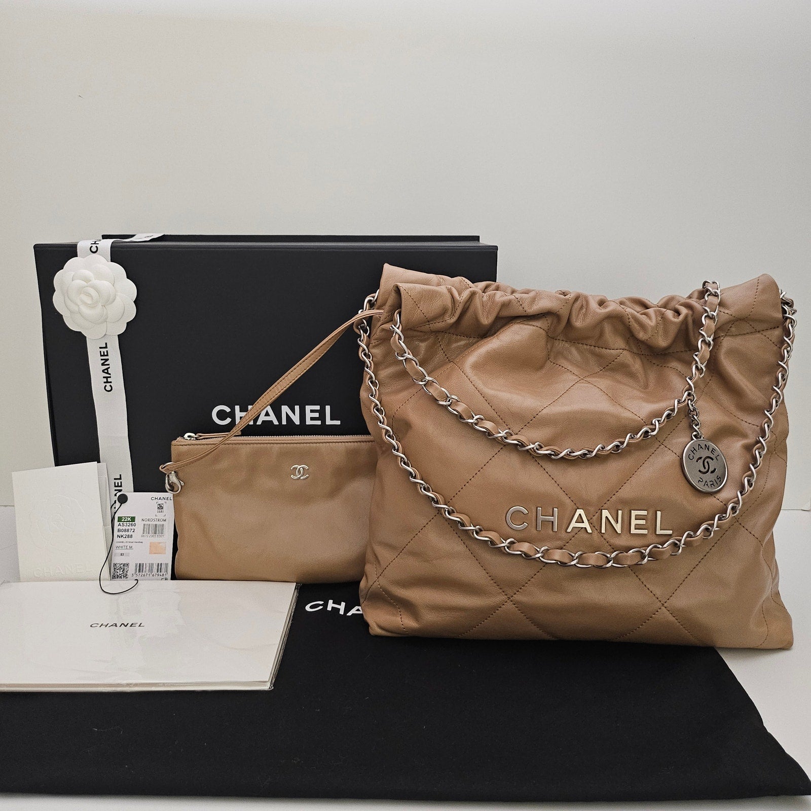 Chanel Shiny Calfskin Quilted Small Chanel 22 Hobo Beige Brown