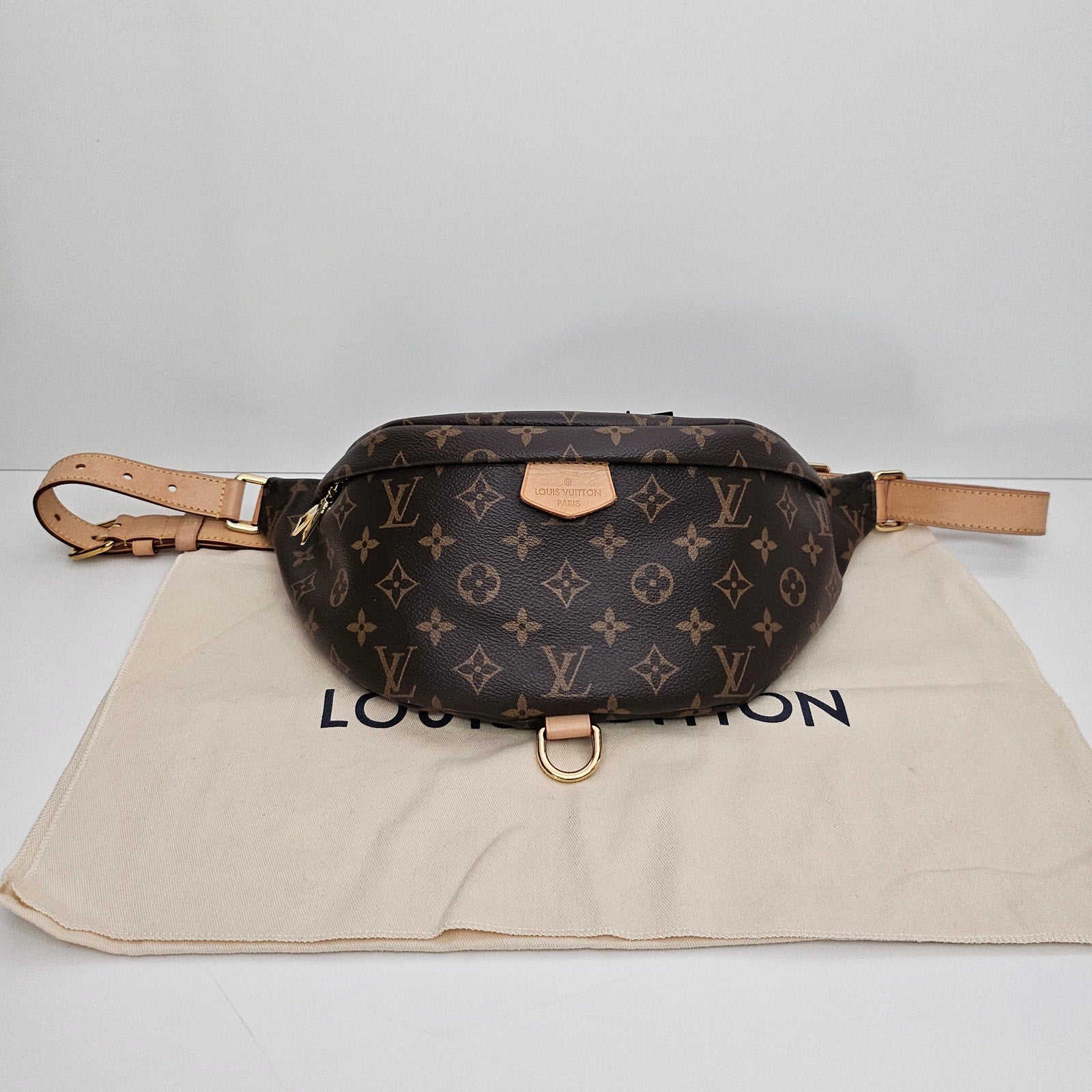 Louis Vuitton Monogram Bumbag