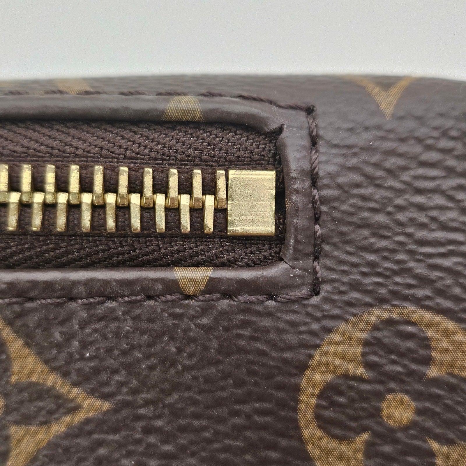 Louis Vuitton Monogram Bumbag
