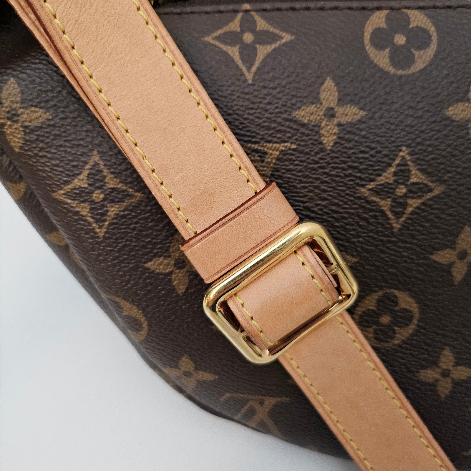 Louis Vuitton Monogram Bumbag