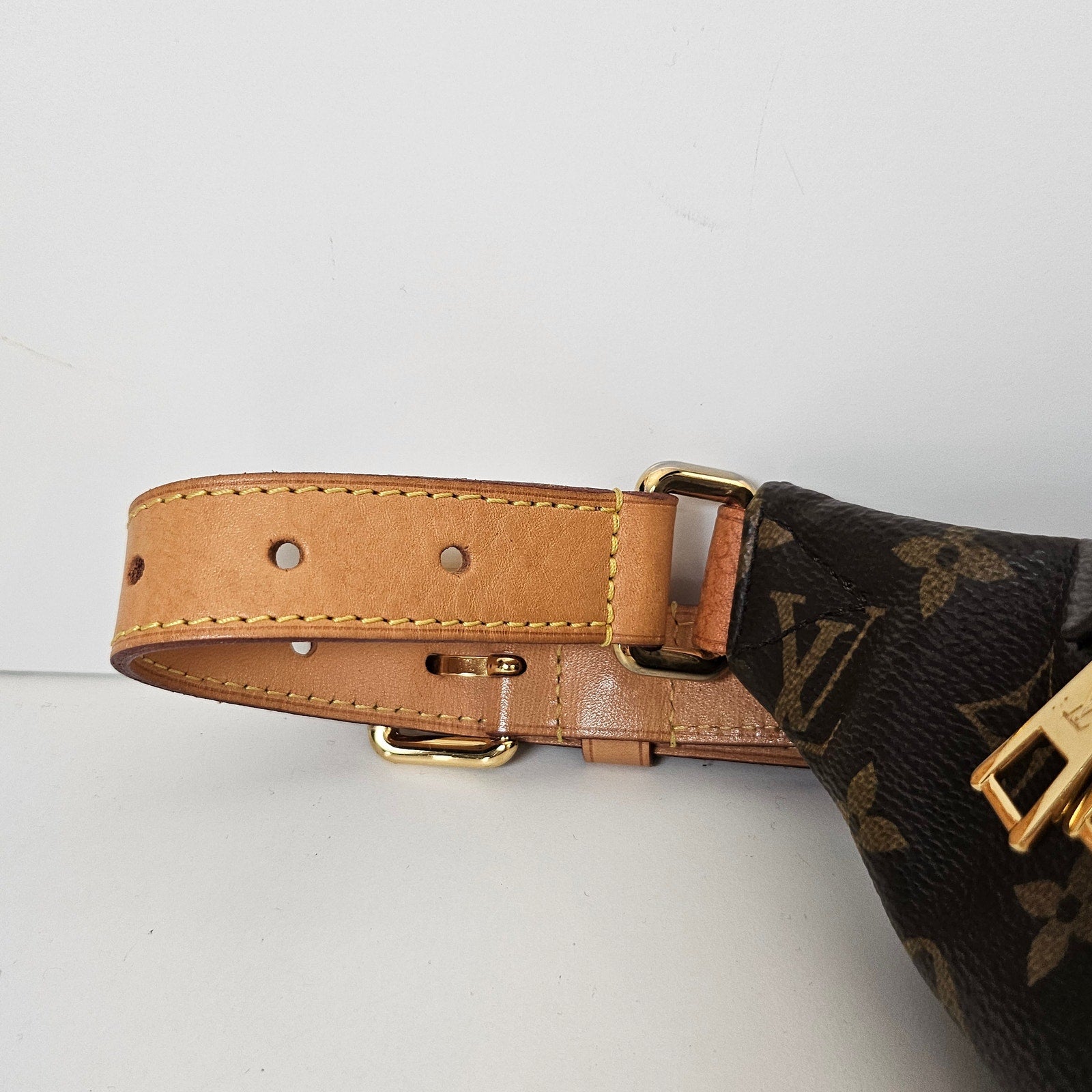 Louis Vuitton Monogram Bumbag