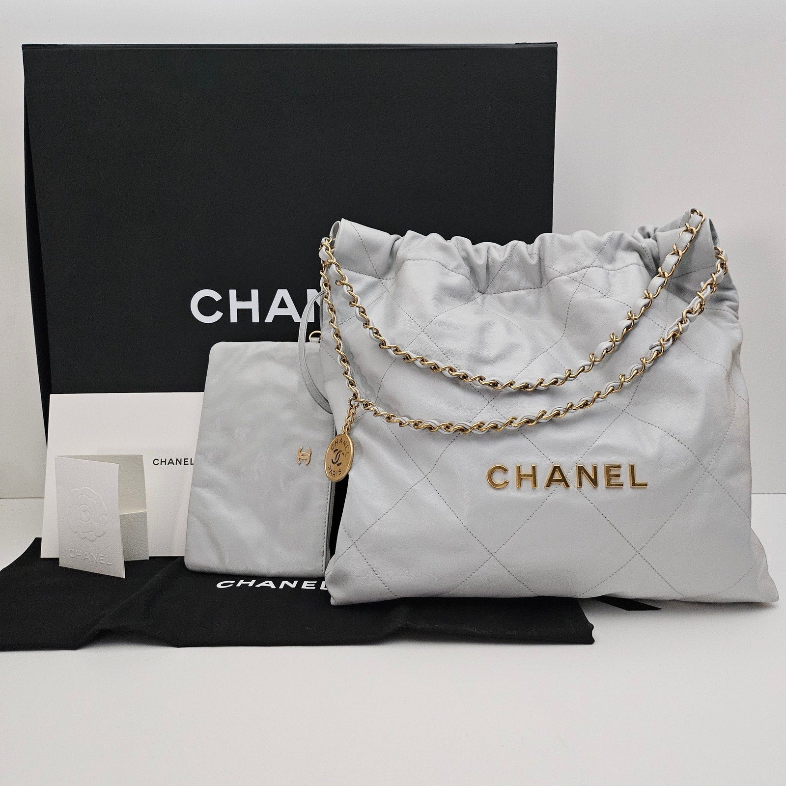 Chanel Pale Blue Quilted Medium 22 Hobo Bag