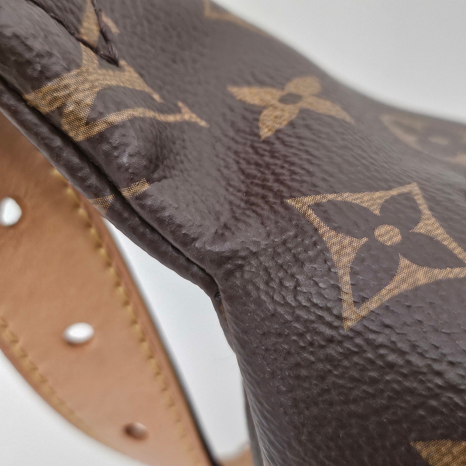 Louis Vuitton Monogram Bumbag