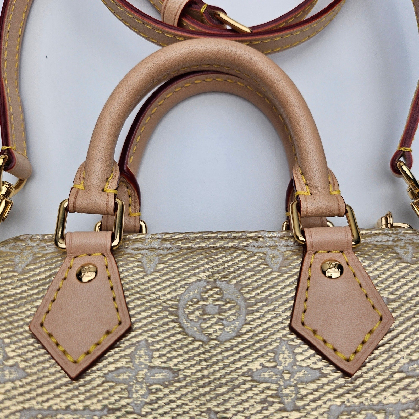 Louis Vuitton Monoglam Nano Speedy Gold