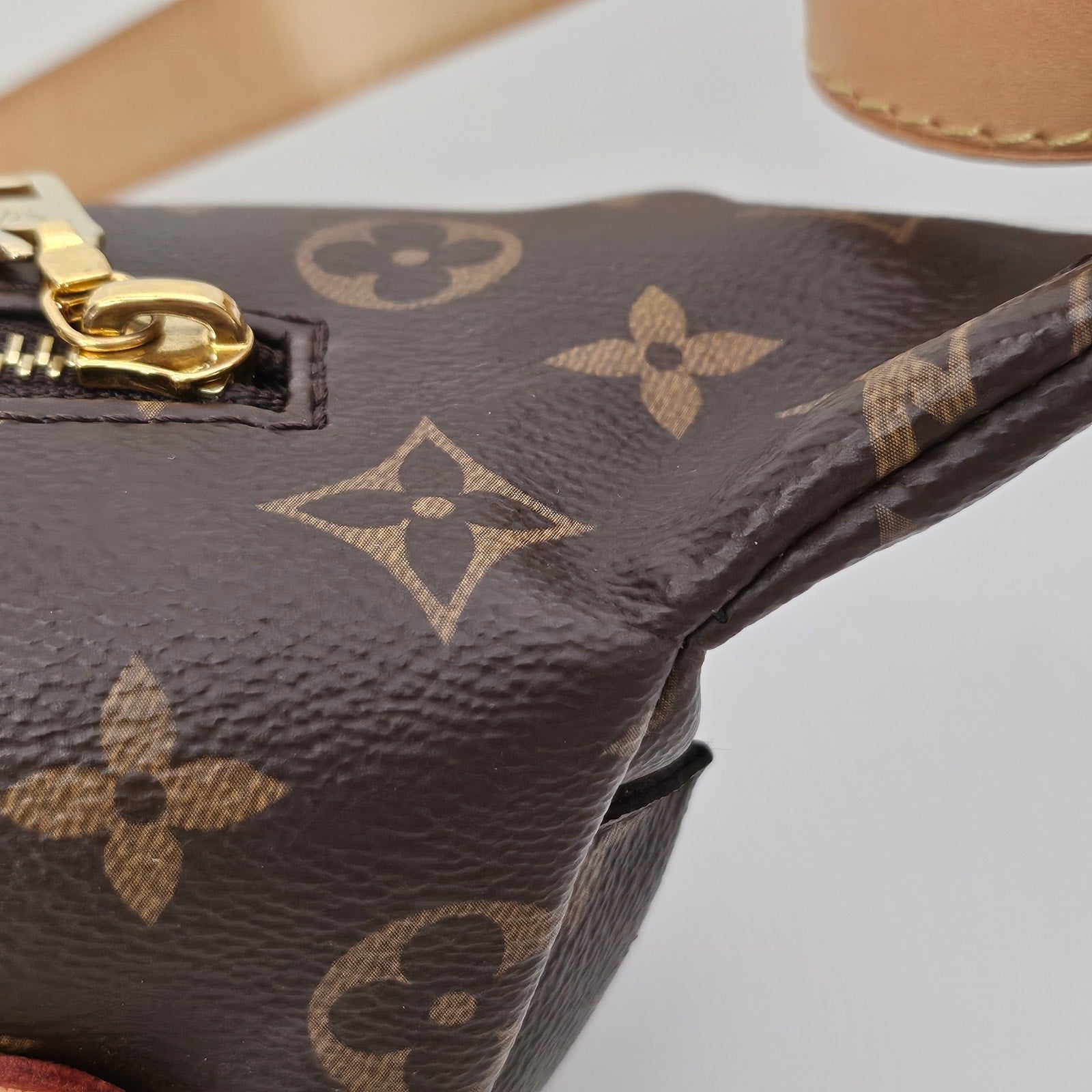 Louis Vuitton Monogram Bumbag