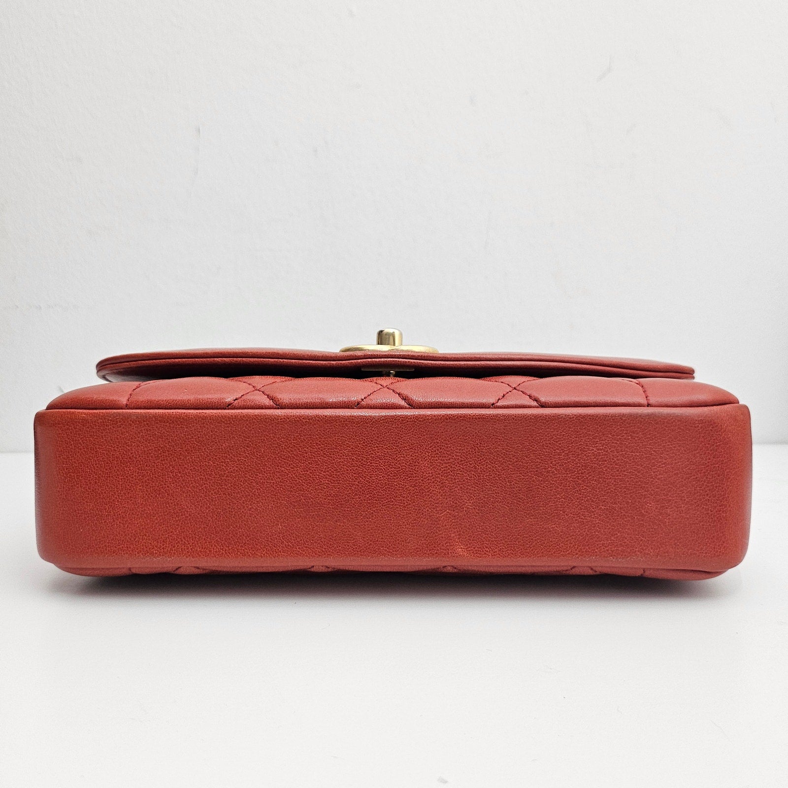 Chanel Small Diana Leather Brown Shoulder Bag