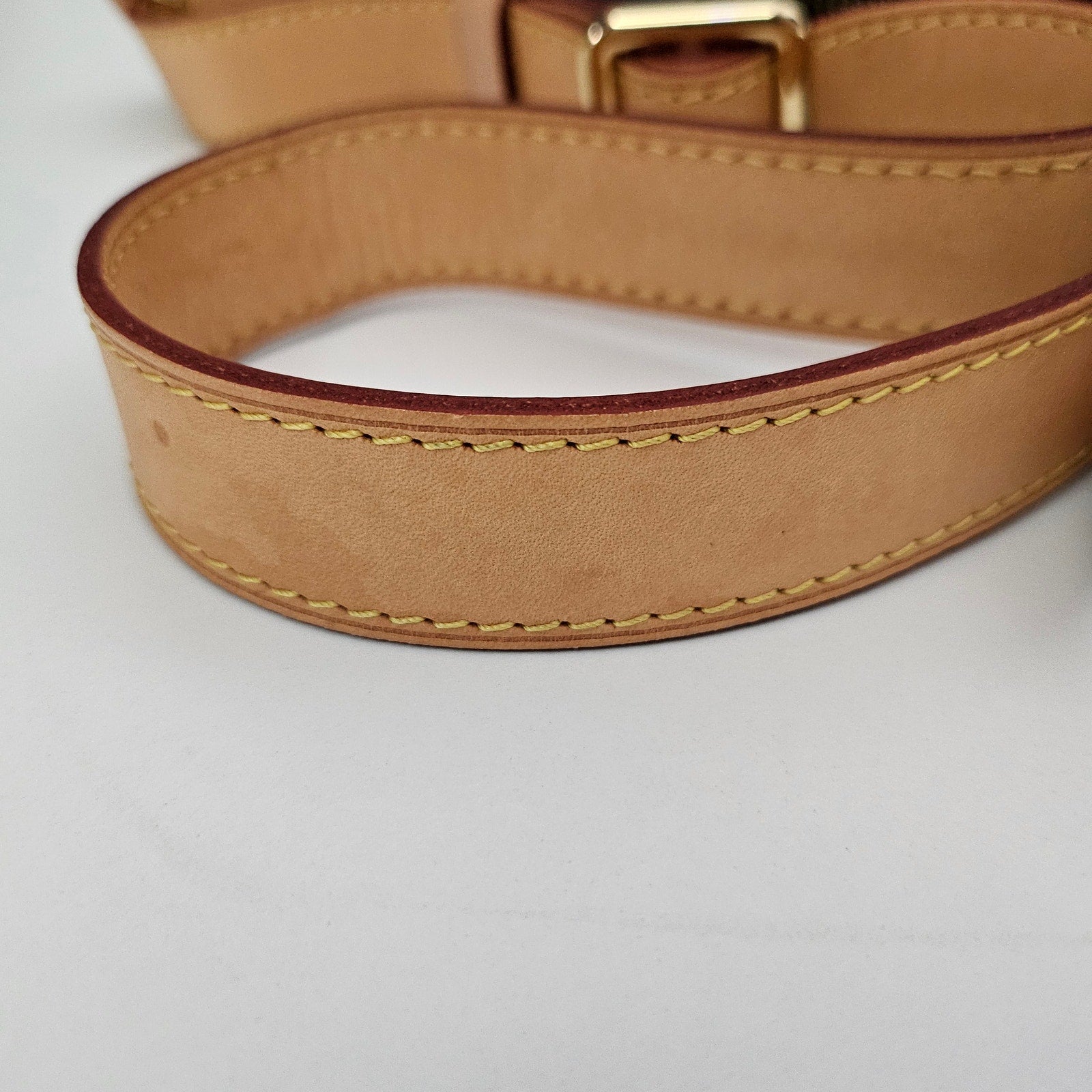 Louis Vuitton Monogram Bumbag