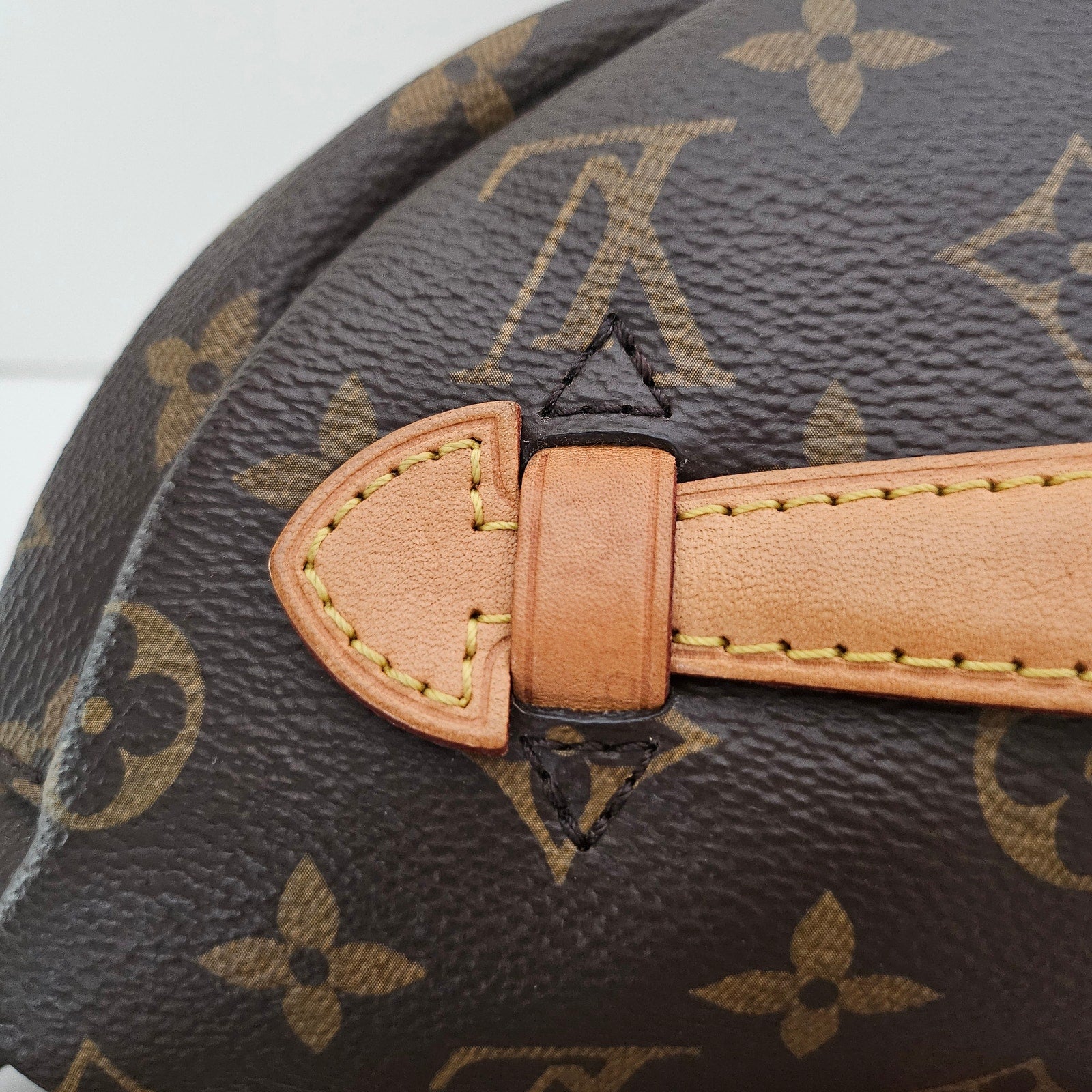Louis Vuitton Monogram Bumbag