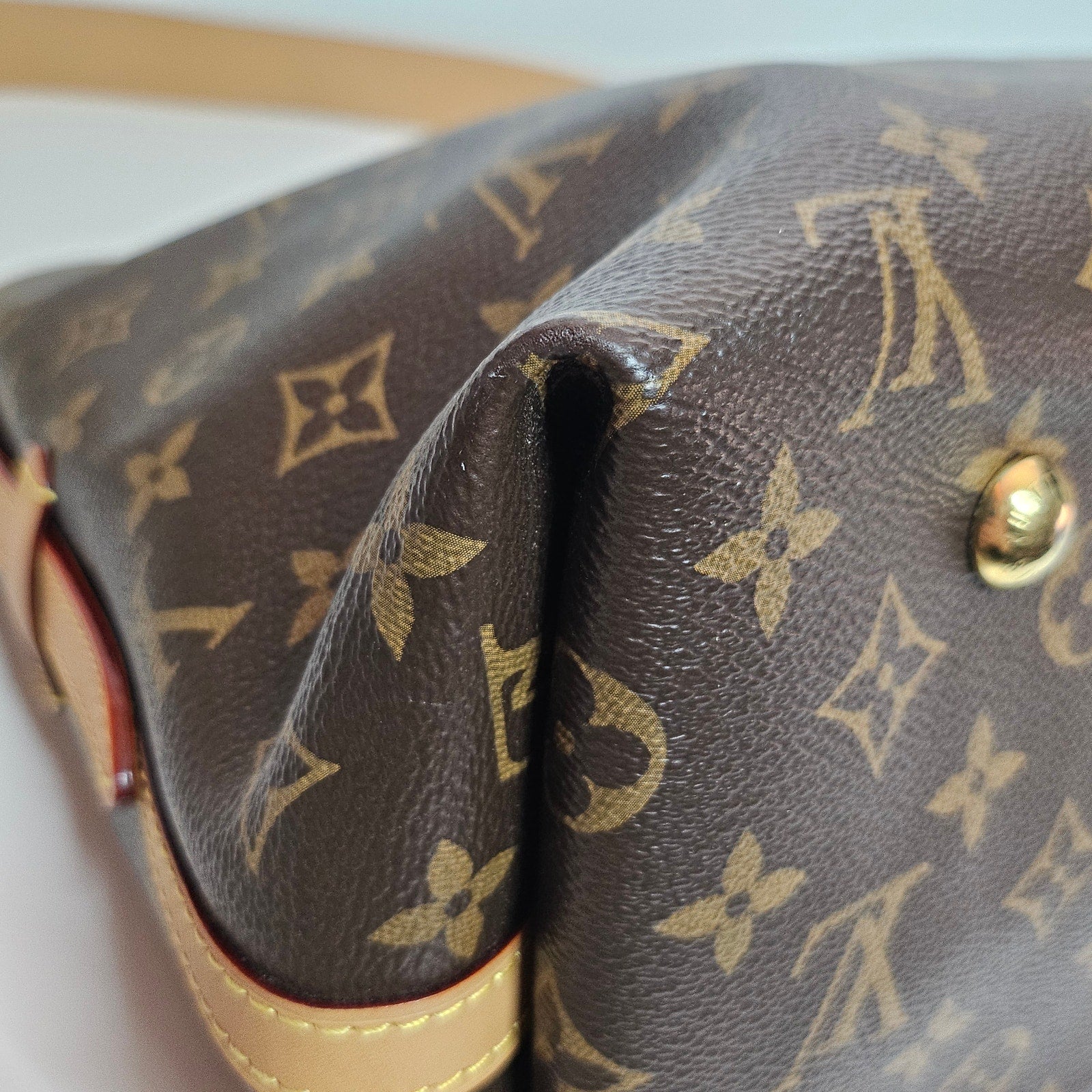 Louis Vuitton Monogram Giant CarryAll MM