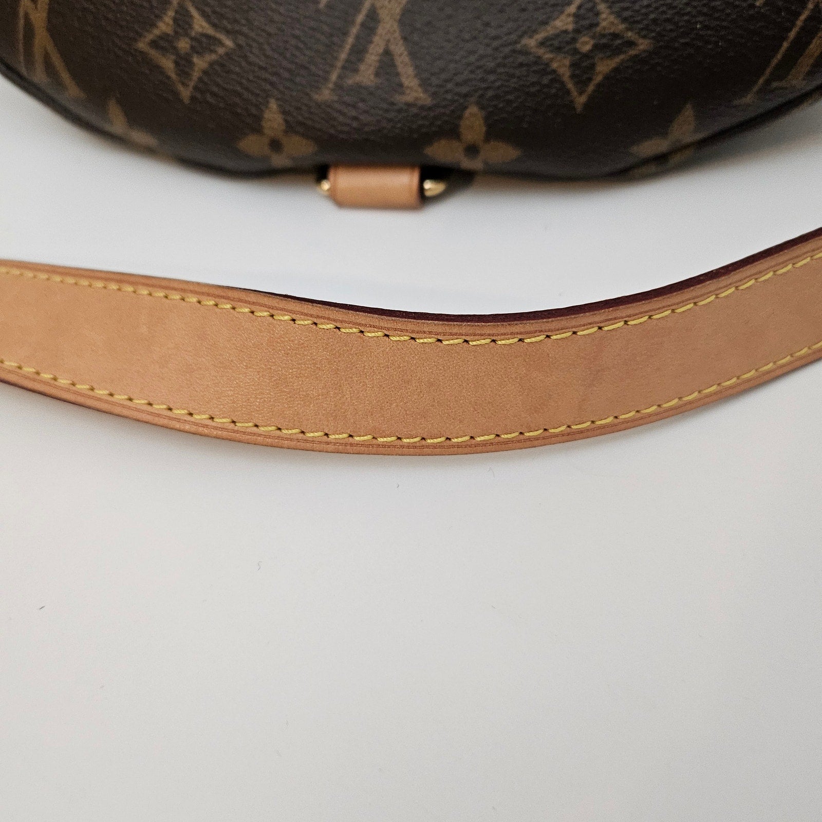 Louis Vuitton Monogram Bumbag