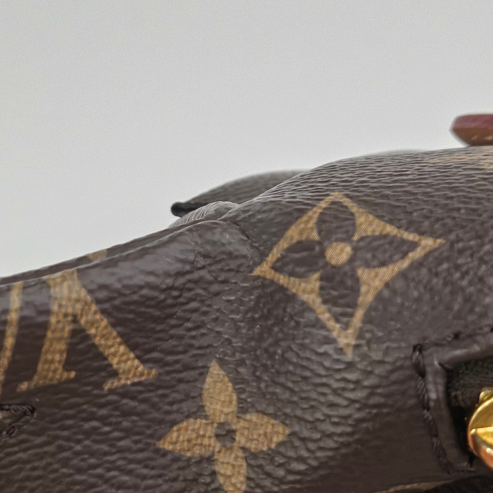 Louis Vuitton Monogram Bumbag