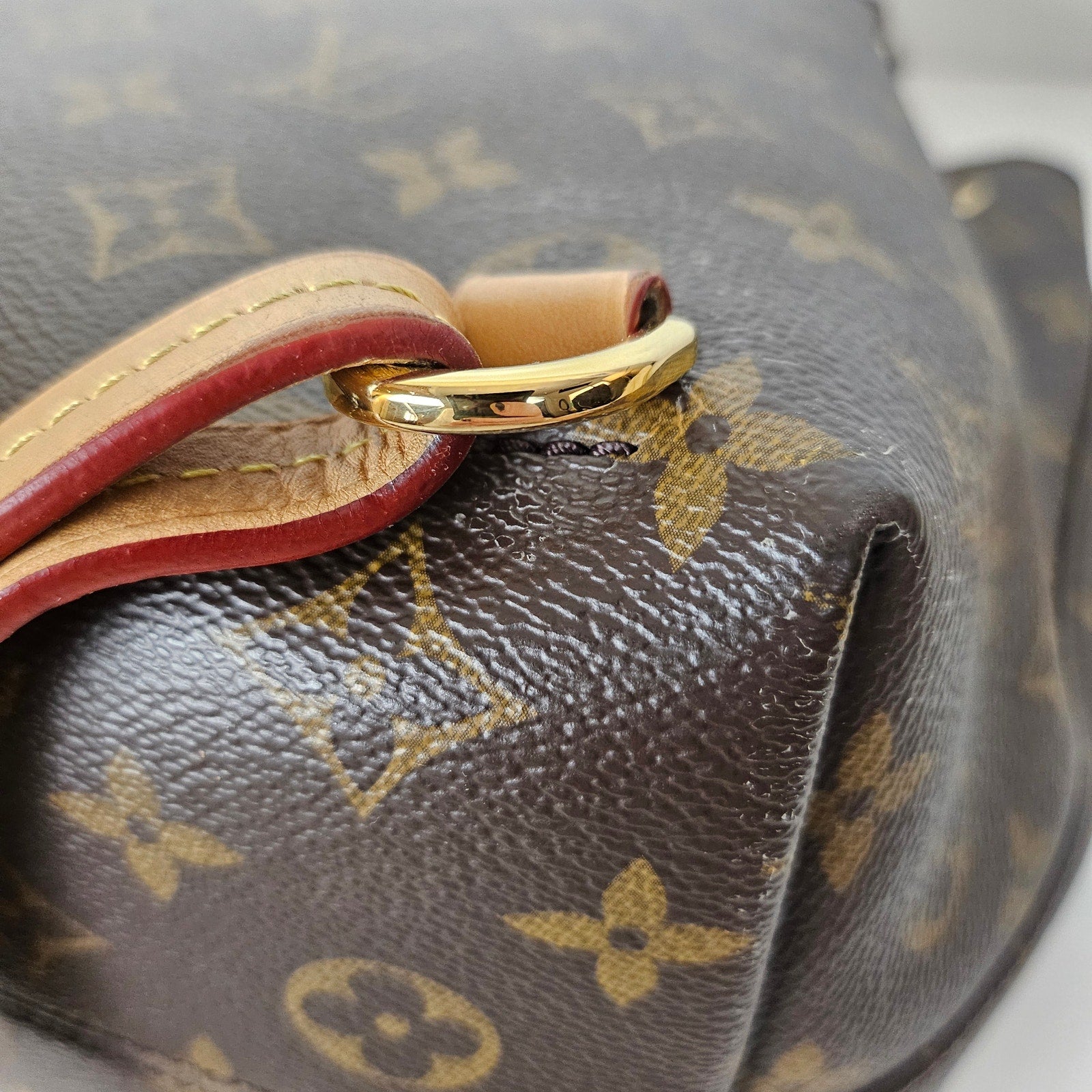 Louis Vuitton Montsouris NM Backpack Monogram Canvas PM