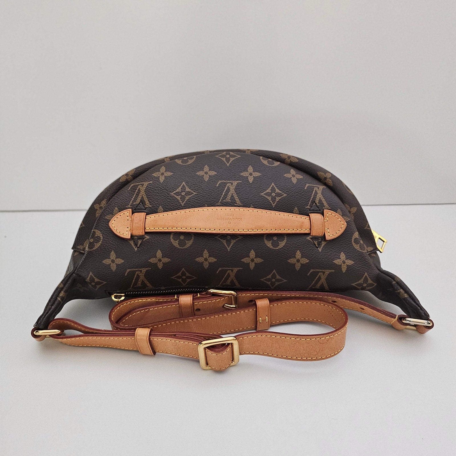 Louis Vuitton Monogram Bumbag