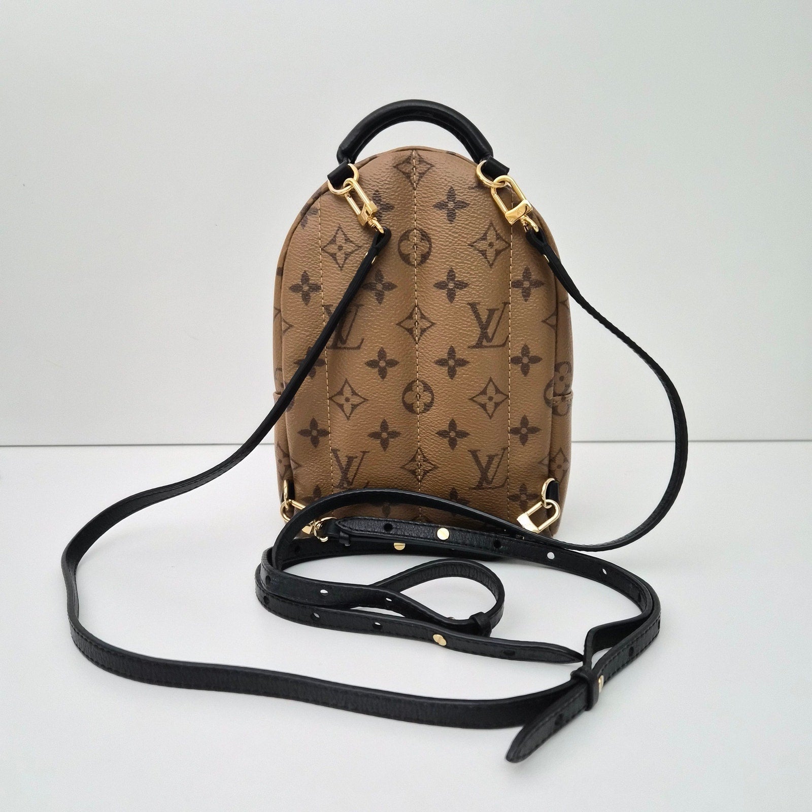 Louis Vuitton Monogram Palm Springs Mini Backpack