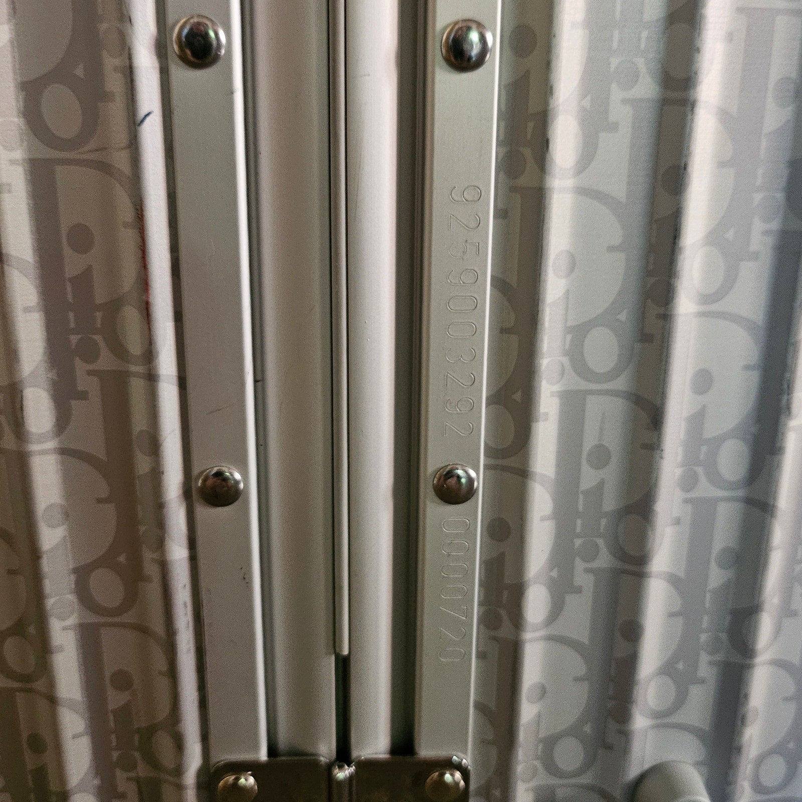 Dior x Rimowa Silver Trunk Suitcase SS20 Large