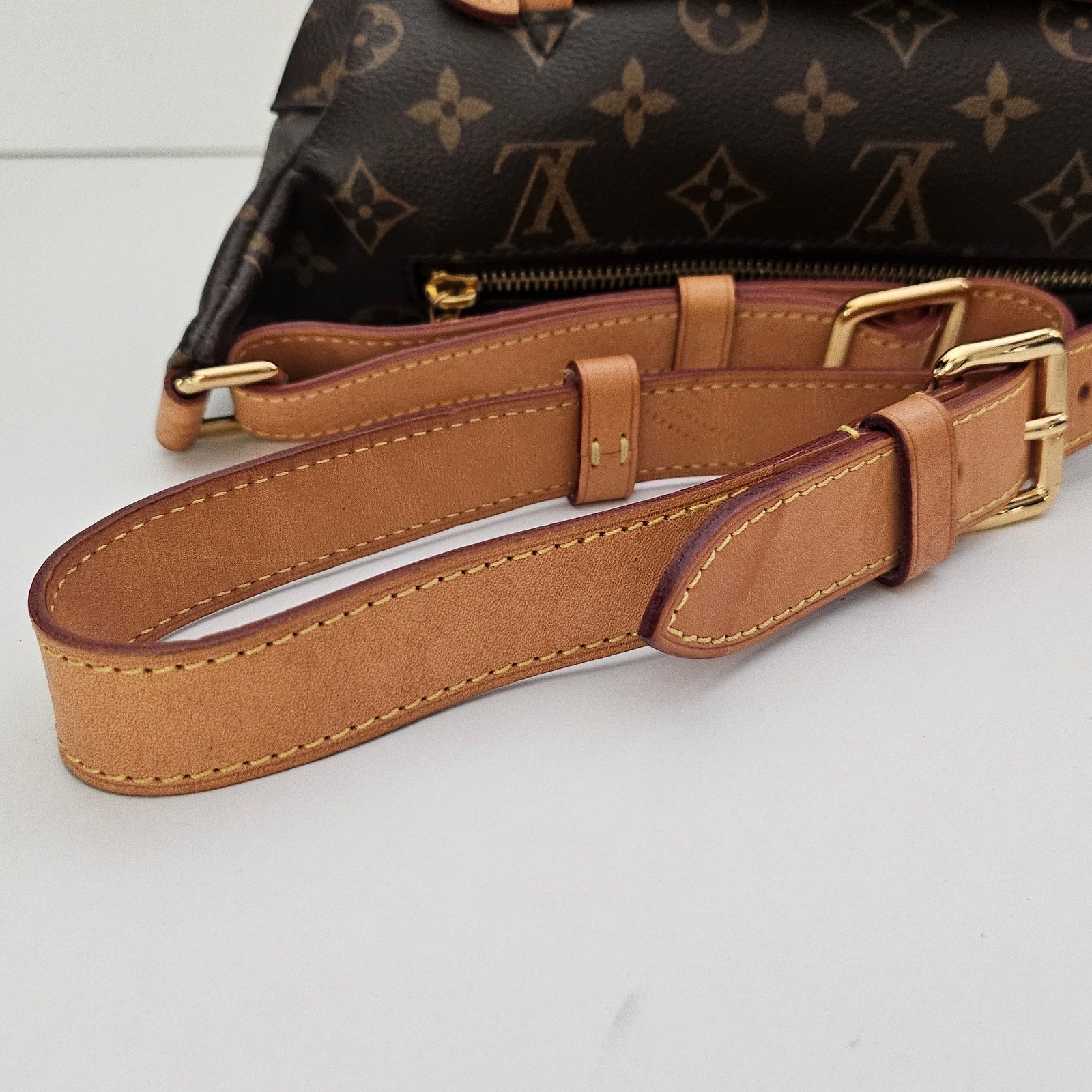 Louis Vuitton Monogram Bumbag