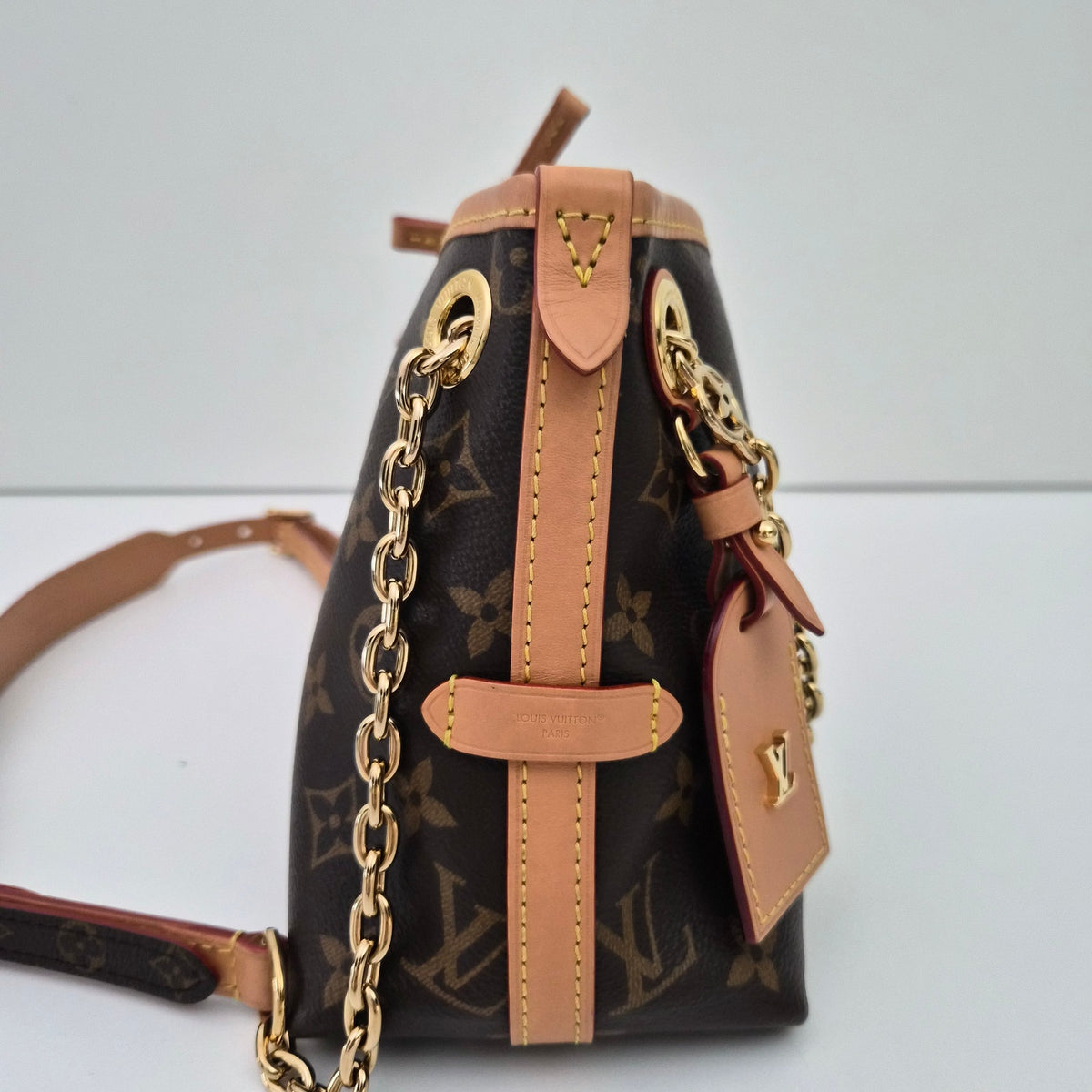 Louis Vuitton Carryall BB Monogram Crossbody Bag