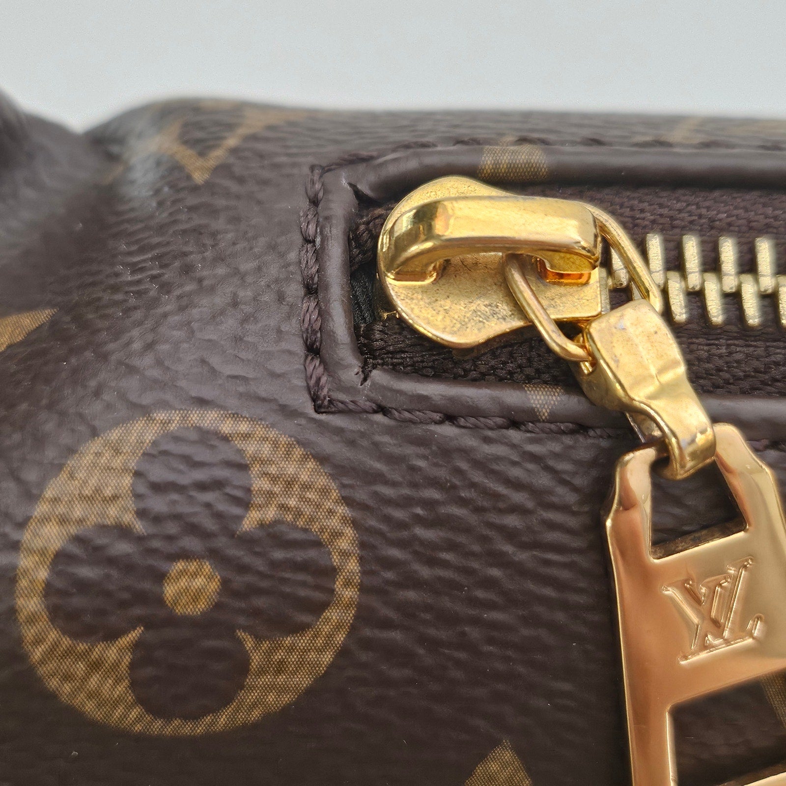 Louis Vuitton Monogram Bumbag
