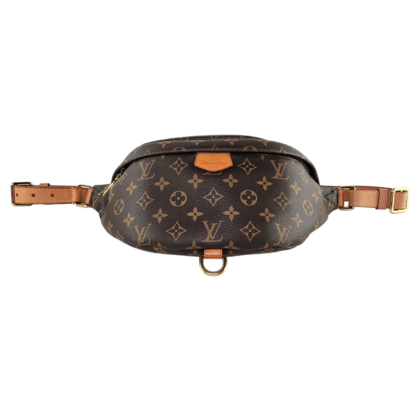 Louis Vuitton Monogram Bumbag Belt Bag