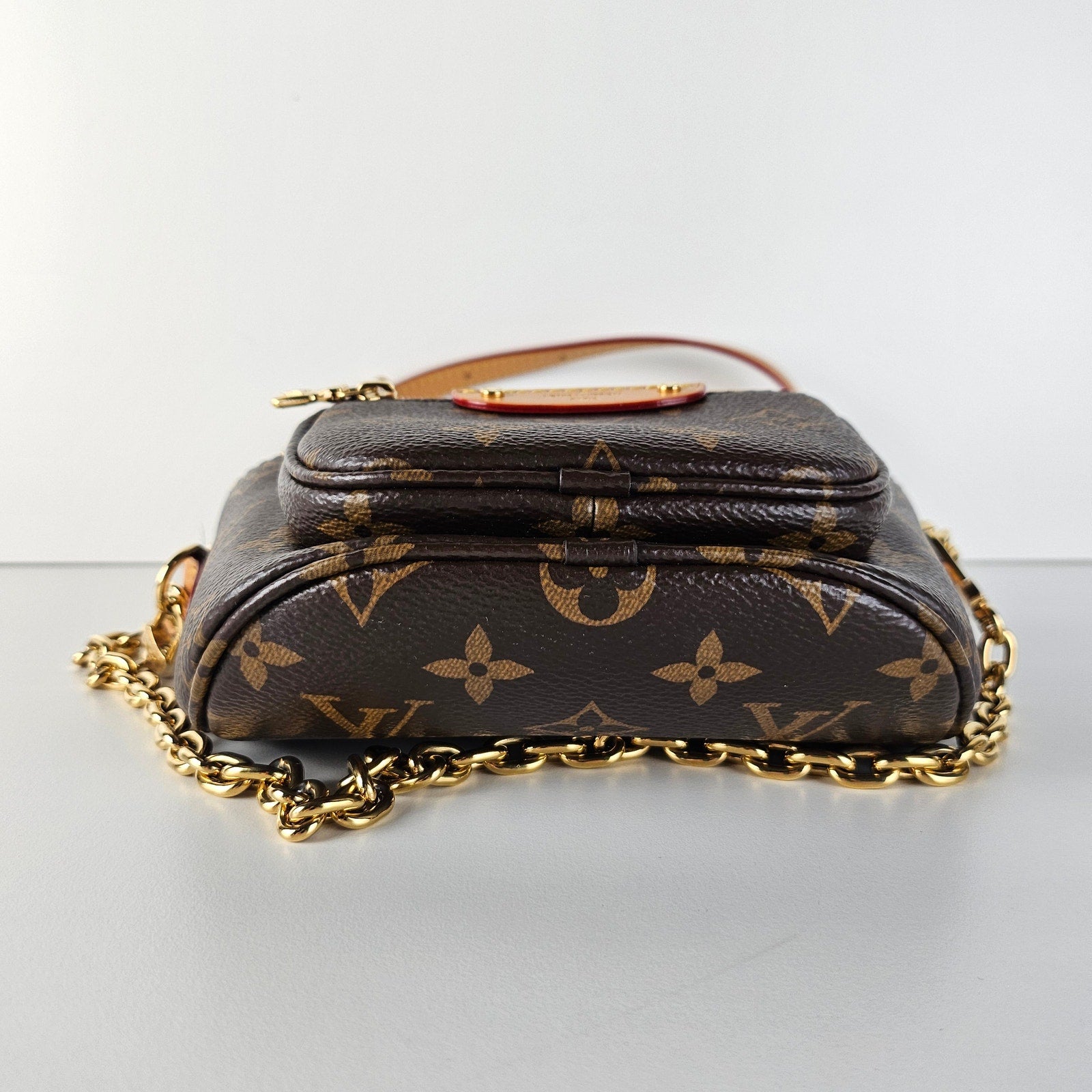 Louis Vuitton Monogram Mini Bumbag