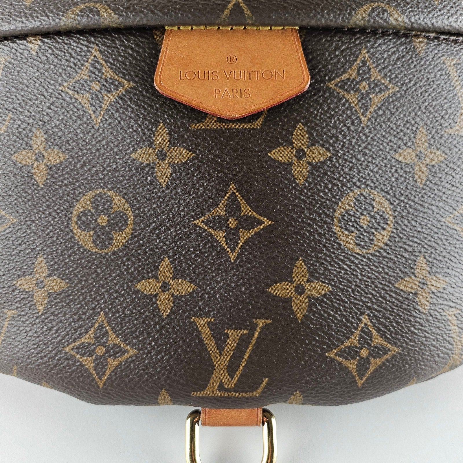 Louis Vuitton Monogram Bumbag Belt Bag