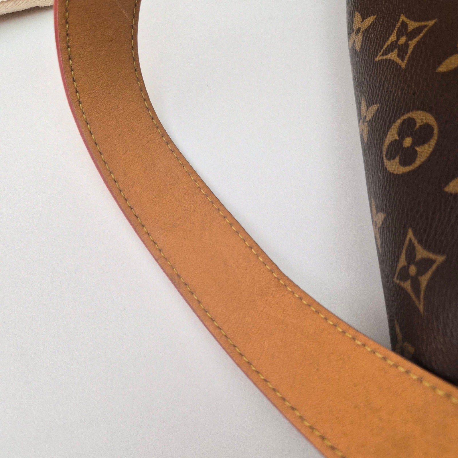Louis Vuitton Monogram CarryAll PM